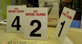 Напольные номера для выставок ROYAL CANIN